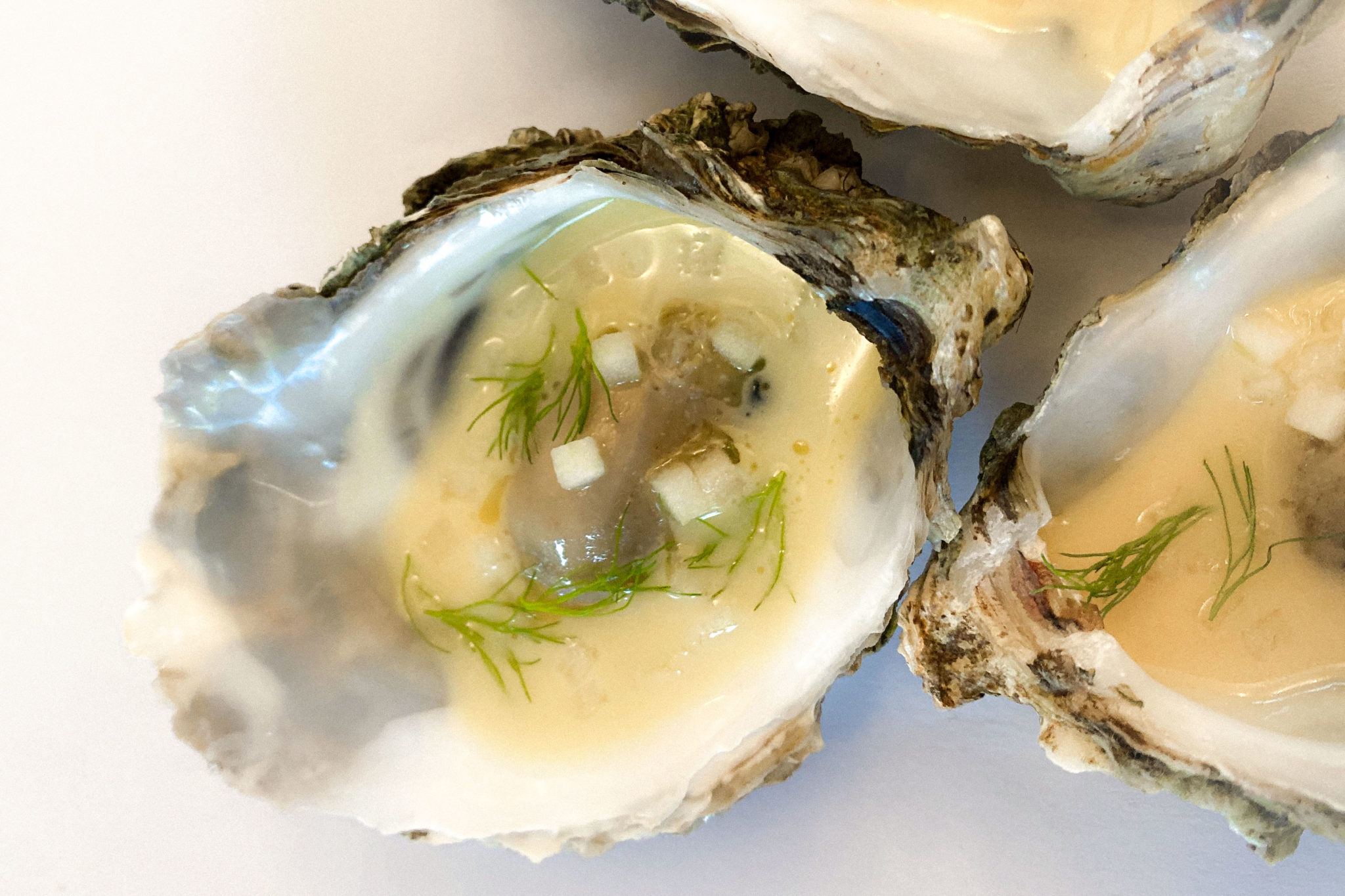 Austern mit Apfel-Beurre-Blanc - zum Champagner - Perlage à trois Austern mit Apfel-Beurre-Blanc - zum Champagner - Perlage à trois